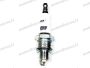 EGYÉB UNIVERZÁLIS SPARK PLUG BRISK N12YC