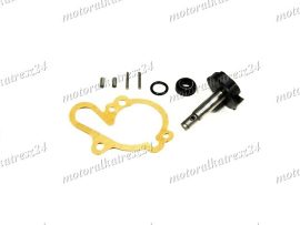 APRILIA ROTAX WATER PUMP SET AM6