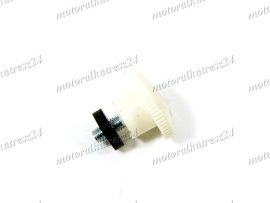 MZ/ES 250/1 SCREW FOR COVER /BUTTER COLOR/